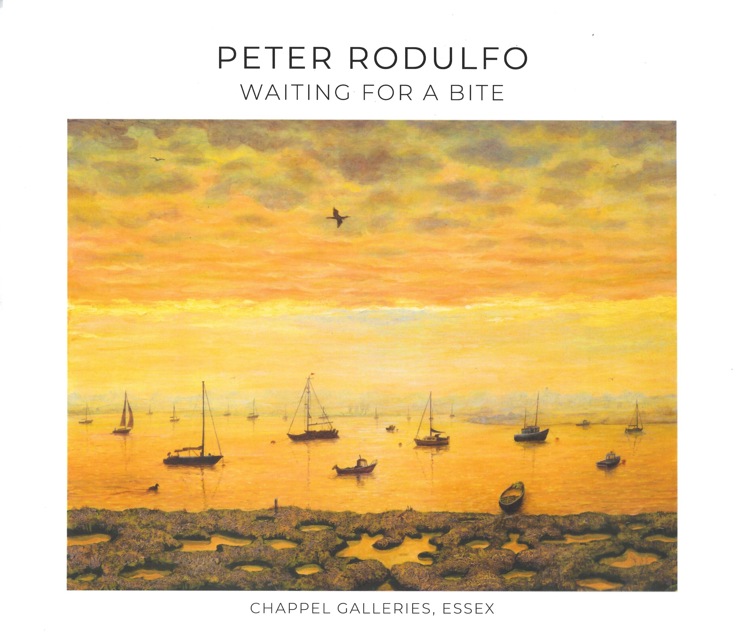 New Exhibition for Peter Rodulfo at Chappel Galleries